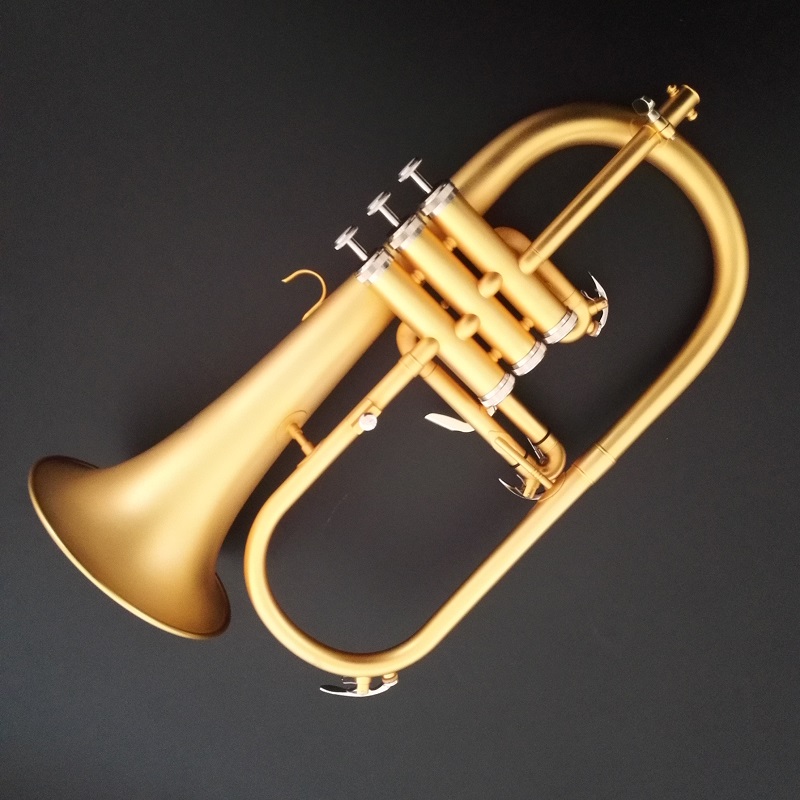 flugelhorn professio